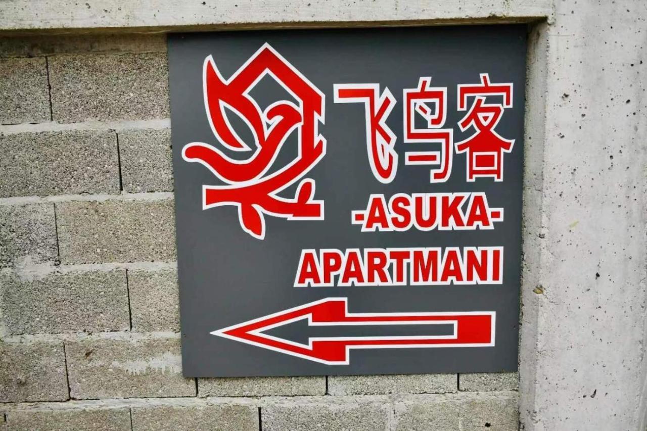 Asuka Apartmani 飞鸟客 Surčin Zewnętrze zdjęcie